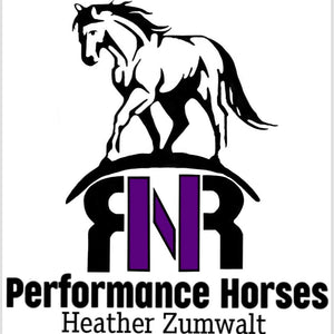 RNR Performance Horses